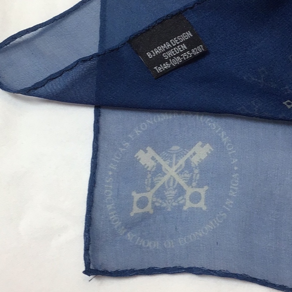 🇸🇪 Rica Sweden Blue Silk Chiffon Oblong Scarf - Picture 5 of 9